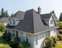 Cleaned roof tiles